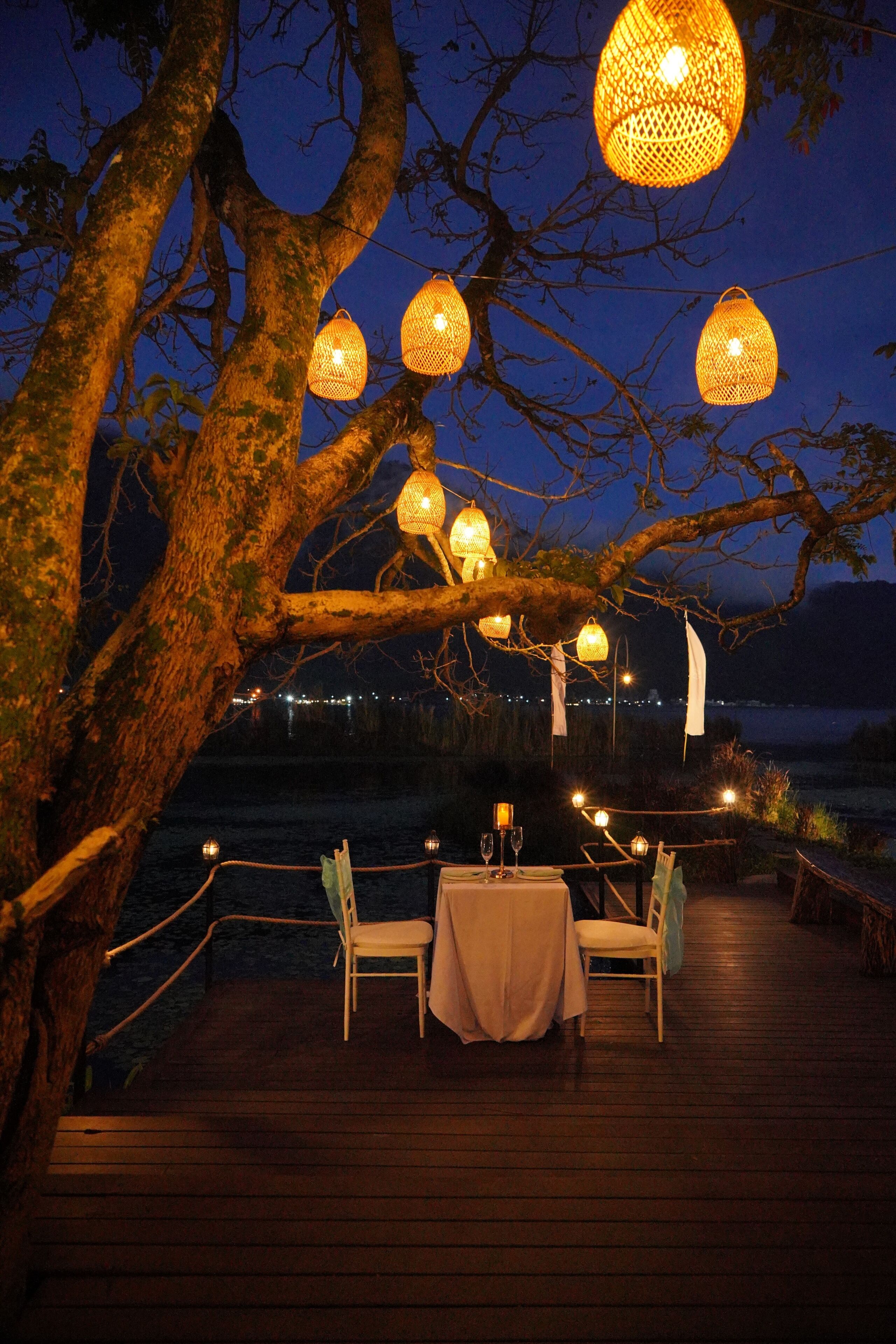 Un área de comedor al aire libre con una mesa y sillas bajo un árbol, rodeada de luces colgantes.