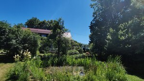Um jardim com lago, cercado por diversas plantas e árvores.