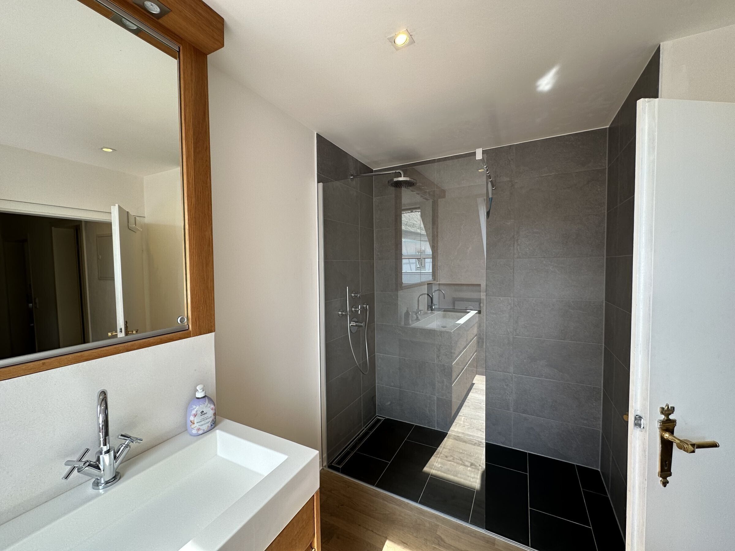 Douche, séchoir à cheveux, serviettes fournies