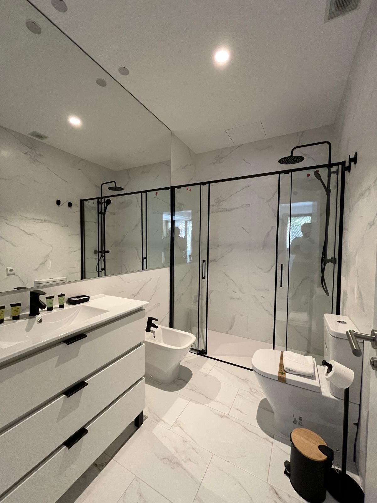 Shower, hair dryer, bidet, towels