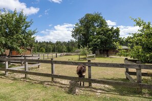 Property grounds - Apartment 'Immenhof' with Private Terrace, Private Garden and Wi-Fi (Schwienau)