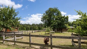 Un espacio al aire libre cercado con un caballo, construcciones de madera y árboles.