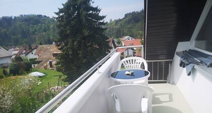 Ferienwohnung 'Eckert' mit Gemeinschaftsgarten, Balkon und Wi-Fi
