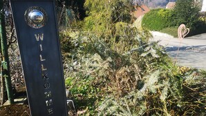 A welcome sign with a reflective sphere, surrounded by dense foliage and a clear view of a residential area in the background. - Apartment 'Eckert' with Shared Garden, Balcony and Wi-Fi (Wehr)
