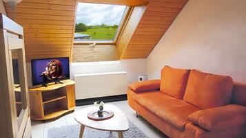 Fernseher, Stereoanlage