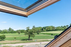 A skylight window, a view of a green field, and a tree.