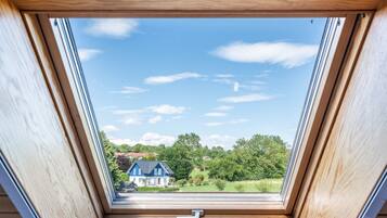 A skylight with a view of a house and greenery.