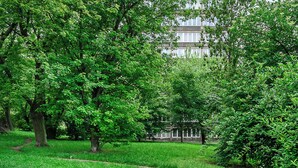 Un parc avec un grand immeuble en arrière-plan.