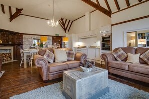 TV connectée, cheminée, table de tennis de table