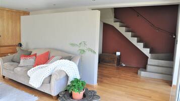 Televisión, chimenea