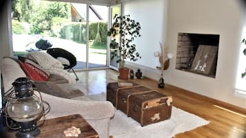 Televisión, chimenea