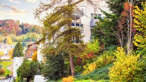 Un edificio moderno con varias ventanas y balcones, rodeado de abundante vegetación y árboles.