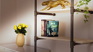 Una estantería con libros y una decoración de cebra dorada.