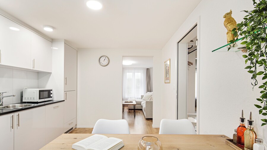 VISIMO Apartments Felsenstrasse St Gallen - Elegant heritage building in a quiet neighbourhood