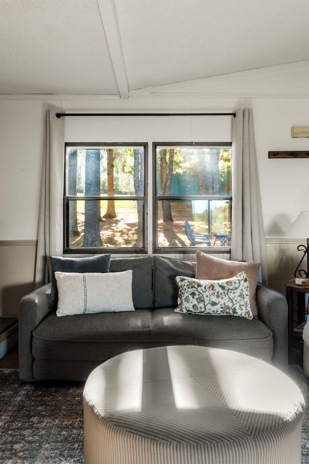 Smart TV, reproductor de DVD y libros 