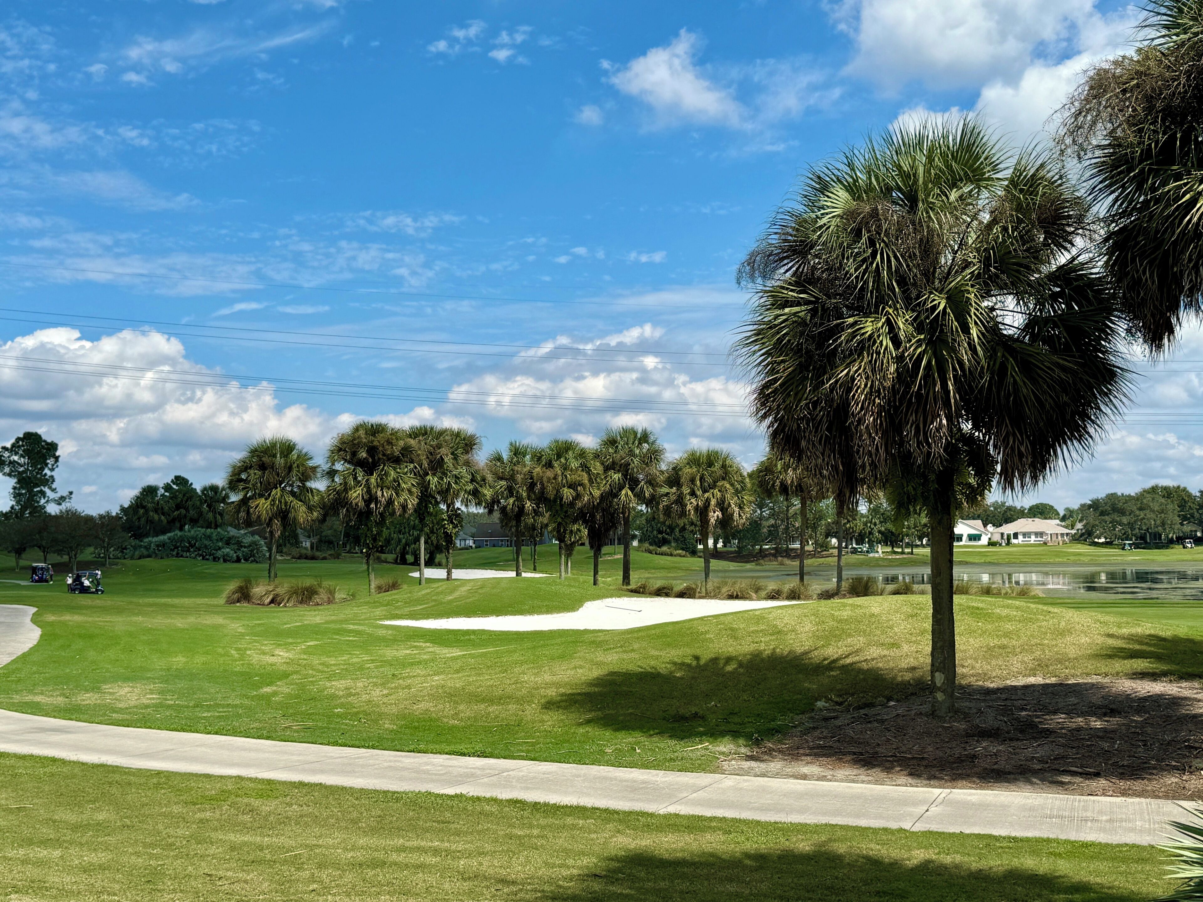 A golf course with well-maintained grass, sand bunkers, and palm trees.
