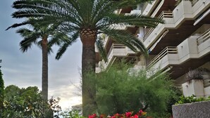 A modern building with balconies and a palm tree. - BEACH FRONT APARTMENT (Salou)