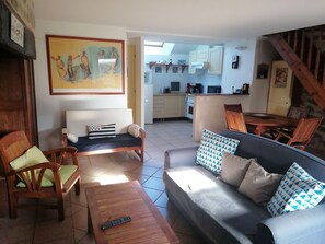 Televisión, chimenea, libros