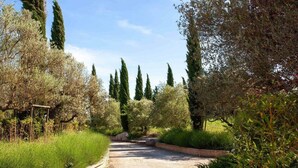 A pathway flanked by tall cypress trees and various shrubs, leading to a structure with a pergola. - Casa Kathy (Pertuis)