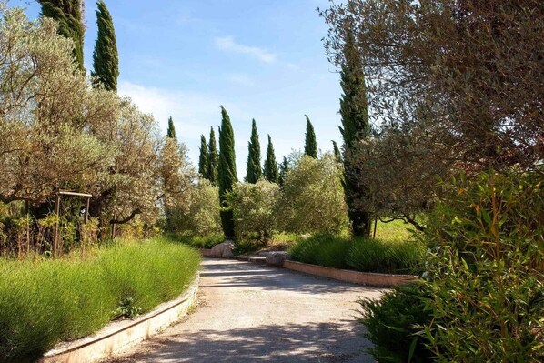 Jardines del alojamiento