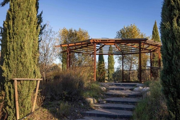 A wooden pergola structure with a metal frame, surrounded by tall evergreen trees and a stone pathway leading to it.