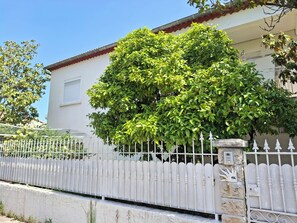 Property grounds - Lady ROSE NîMes : Large Charming House with Garden, Ideal for Groups (14 pers) (Caissargues)