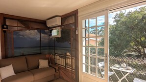 Televisor 
