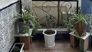 A balcony with potted plants, a tree, and a tiled wall. - APARTMENT IN A QUIET RESIDENCE (Aïn El Turk)