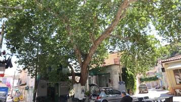 Udendørs spisemuligheder