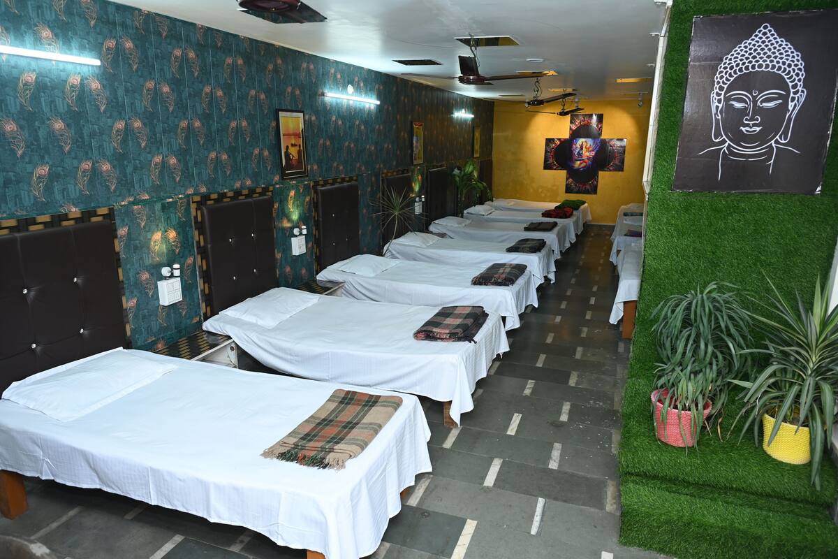 A room with multiple beds aligned in a row, each with a white bedspread and a plaid blanket. There are potted plants on the right side.