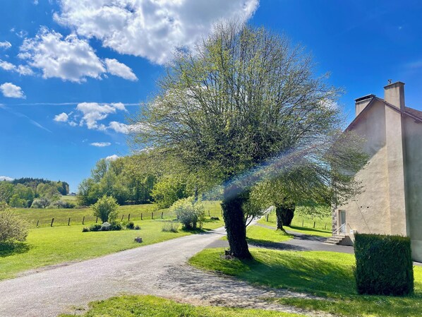 A rural landscape with a gravel path leading to a building with a chimney.