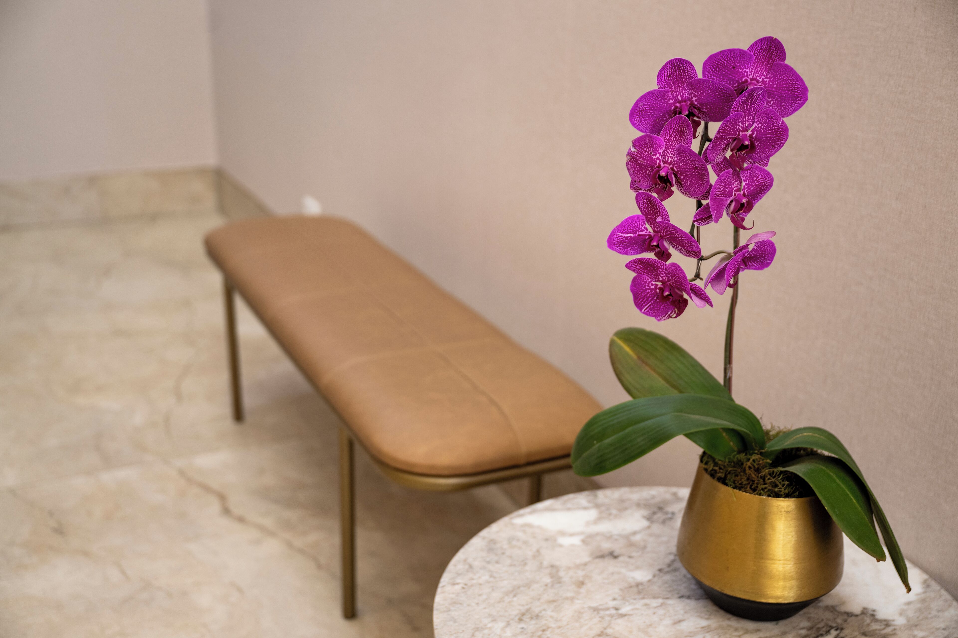 A bench and a potted orchid on a marble floor.