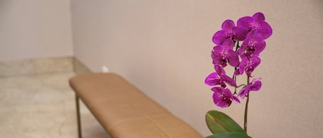 A bench and a potted orchid on a marble floor.