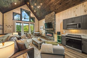 TV, fireplace, video games