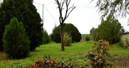Stunning private villa for 8 people with WIFI, TV, patio and pets allowed, close to Teramo