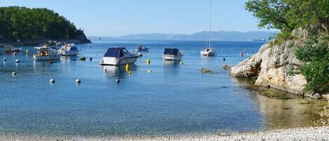 Ranta