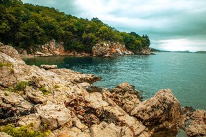 A rocky shoreline with clear water and dense green foliage in the background. - Seaview Apartment Kostrena Two (Kostrena)