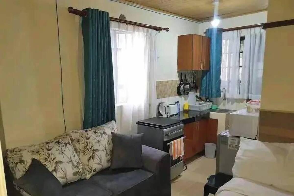 A compact room with a sofa, a bed, a kitchenette, and a window with curtains.