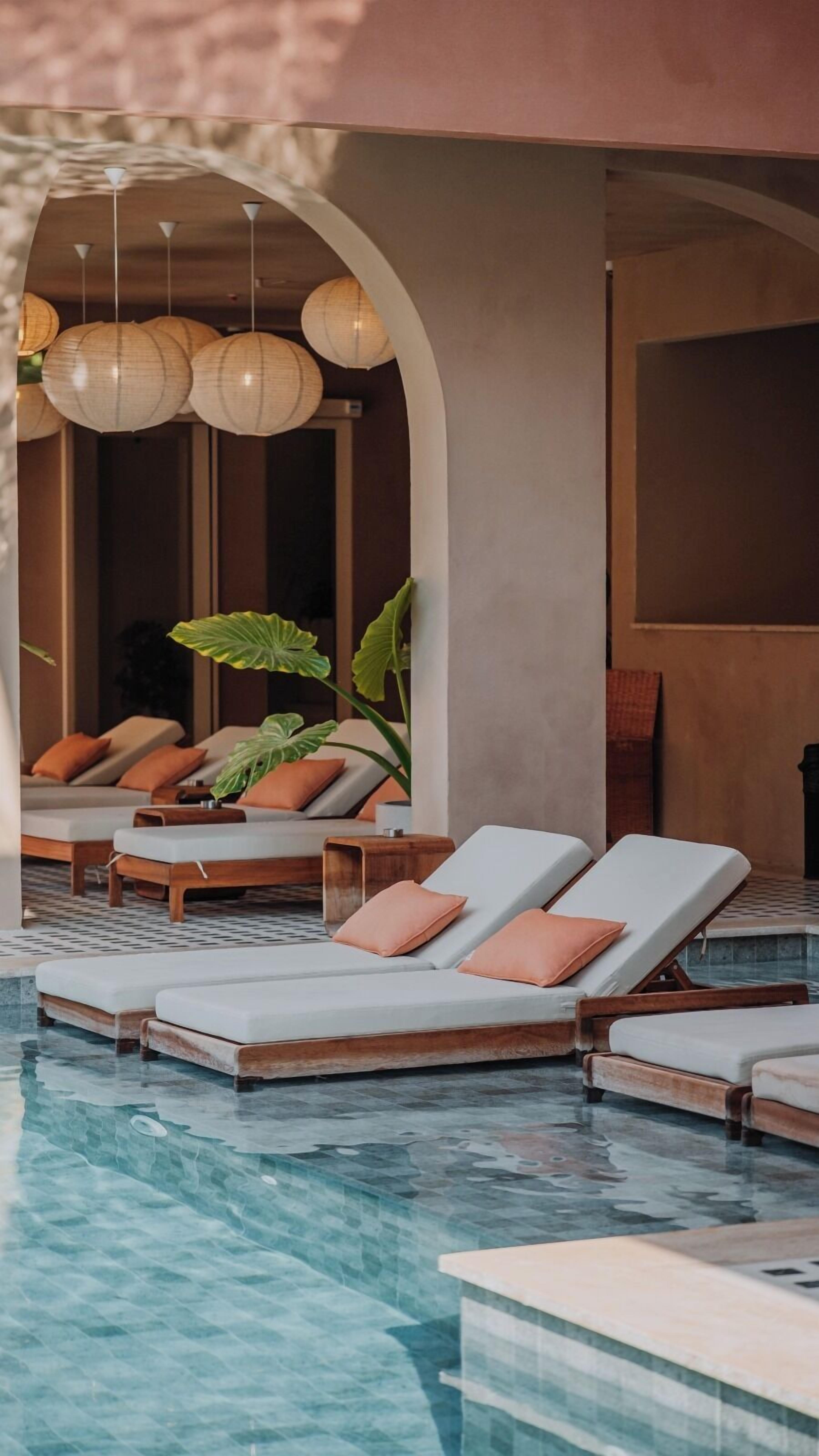 A poolside area with lounge chairs and a large plant.