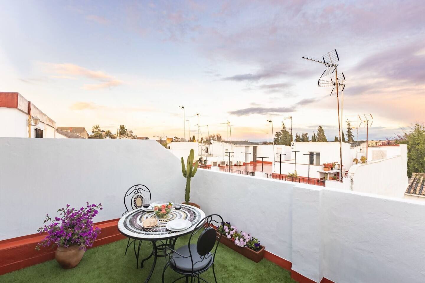 Une terrasse sur le toit, avec une table ronde et des chaises, entourée de plantes en pot et d’un cactus.
