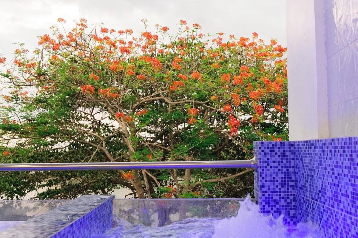 Un bain à remous bordé de mosaïques bleues, un arbre aux fleurs orange et un mur blanc.