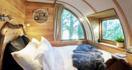 The Loft at Pickwell Manor- A unique and wonderful treehouse with an ocean view