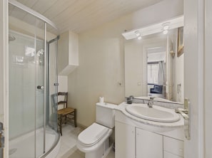 Shower, hair dryer