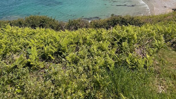 A coastal landscape with a beach, rocky outcrops, and a building on a hill. - Maison vue de mer Pléneuf Val André near coastal paths and beaches (Pléneuf-Val-André)