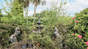 المنطقة المحيطة بالمنشأة