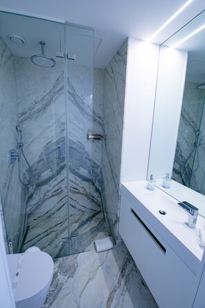 Shower, hair dryer, towels, soap