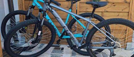 A turquoise mountain bike parked on a stone patio with a wooden fence and potted plants in the background.
