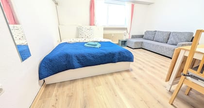 Charming 1-bedroom apartment with AC, WiFi in tranquil Walldorf