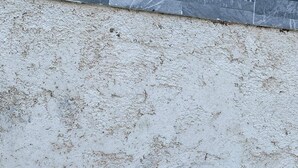 A weathered, rectangular metal object with a bird emblem, attached to a textured wall.