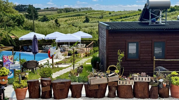 A wooden cabin with a satellite dish, surrounded by potted plants and outdoor seating. - Villa's Pomar do Moinho - 5min de Óbidos (Obidos)